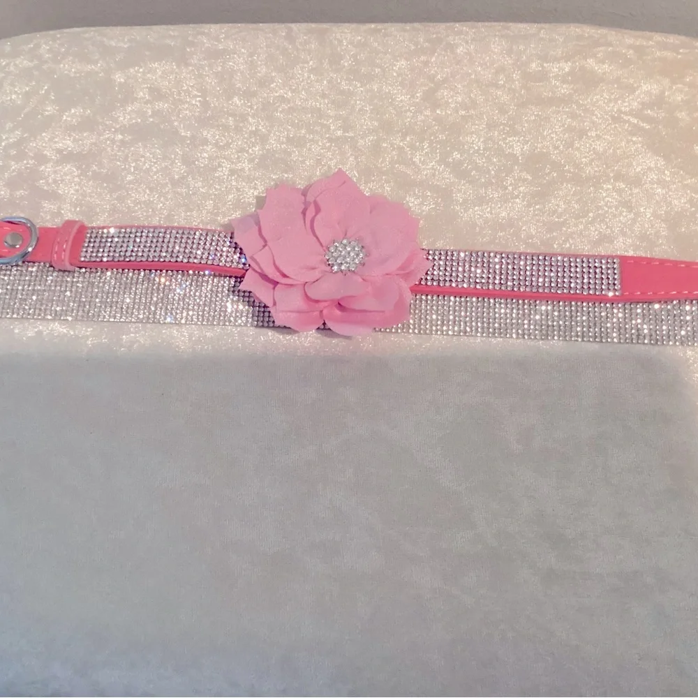 Beautiful dog collar for the pampered pet